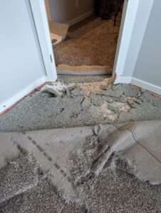 Carpet repair